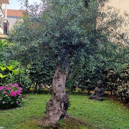 Superbe Appartement Avec Jardin Saint Charles Biarritz Exterior foto