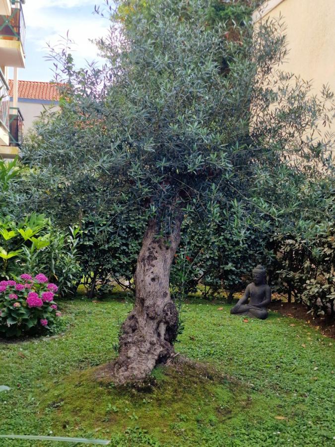 Superbe Appartement Avec Jardin Saint Charles Biarritz Exterior foto